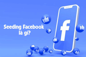 Seeding Facebook là gì? Tối ưu chiến dịch Seeding đạt hiệu quả 2024