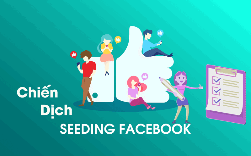 Chiến dịch Seeding Facebook 2024